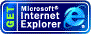 Internet Explorer 6.x